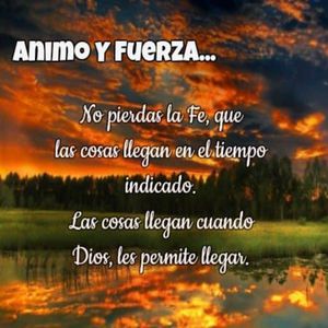 调教少妇在线观看
