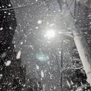 调教少妇在线观看
